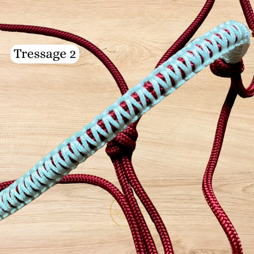 Licol Éthologique Tressé