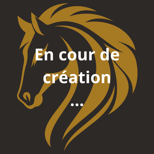 Licol Simple Cheval